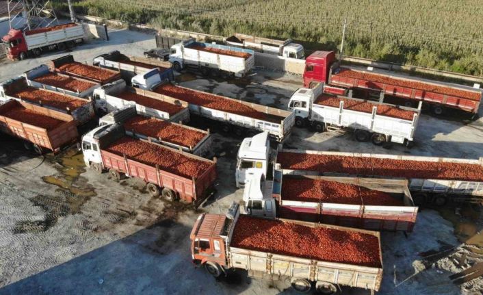 Depremle enkaza dönen kentte üretilen salça, ABD, Almanya başta olmak üzere 20 ülkeye ihraç ediliyor