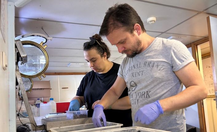 Dip çamurunun biyoçeşitliliğe etkisi araştırılıyor