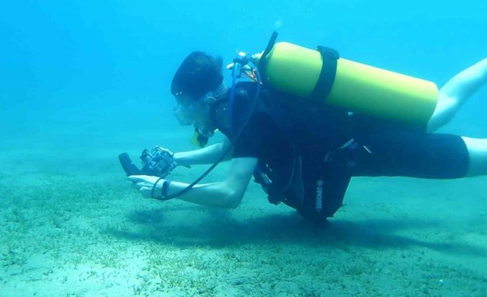 Doğu Akdeniz’i göçmen çayırı sarmaya başladı