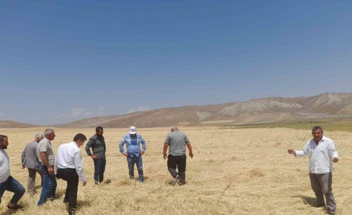 Dolu yağışı tarım arazilerine zarar verdi