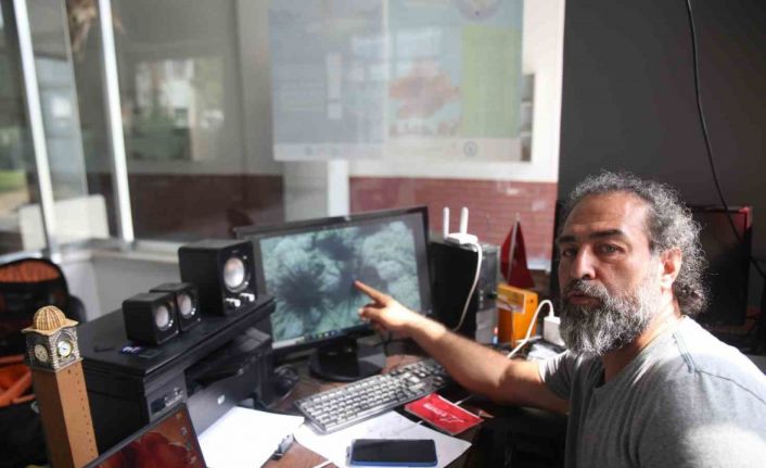 Dünyada ilk gerçekleşiyor: İnsan gözüyle bir deniz tropikleşiyor