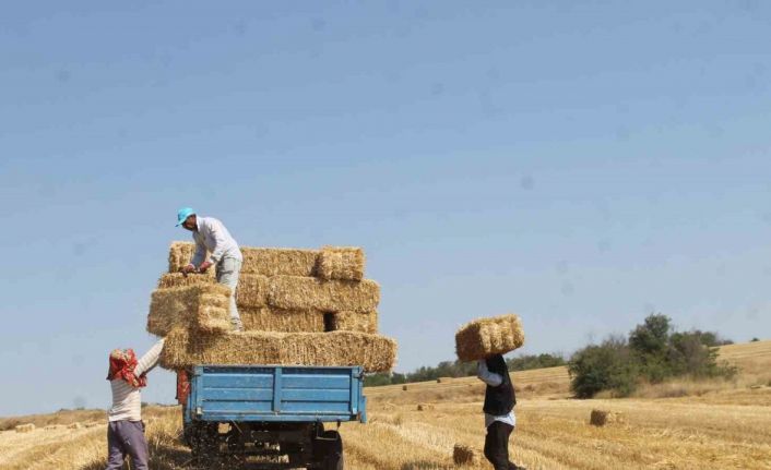 Edirne’de balya işçilerinin kavurucu sıcakta zorlu mesaisi: Günde bin - bin 500 TL kazanıyorlar