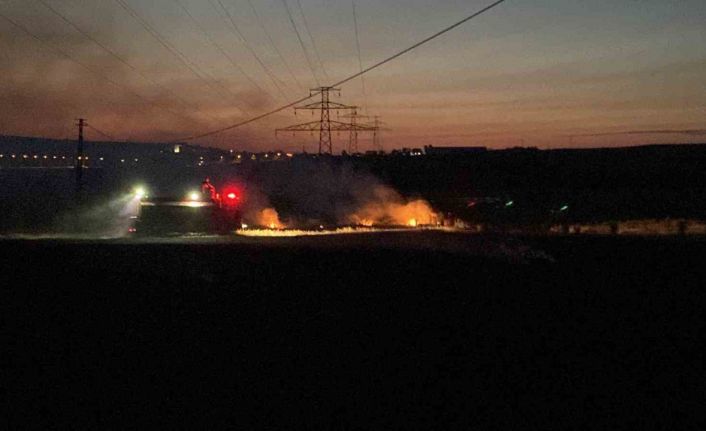 Edirne’de buğday tarlasında yangın