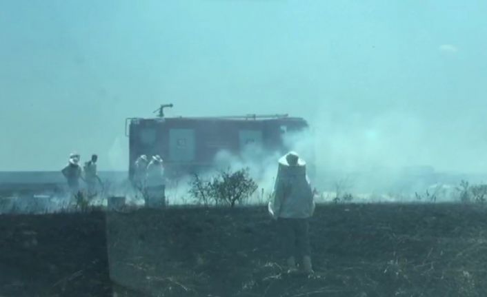 Edirne’de tarlada çıkan yangında 100 arı kovanı yandı