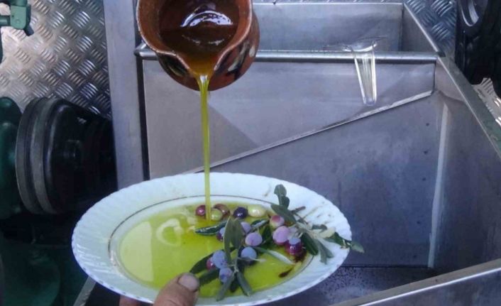 Edremit zeytinyağı Avrupa Birliği’nden coğrafi işaret tescilini aldı