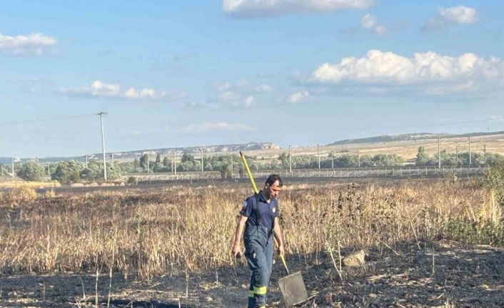 Elektrik akımına kapılan kuşun sebep olduğu yangında 60 dönüm hububat arazisi zarar gördü