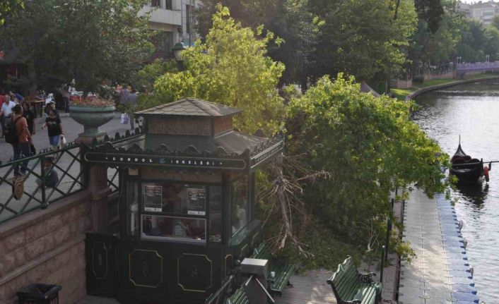 Eskişehir’de facianın eşiğinden dönüldü: Ağaç devrildi, 3’ü çocuk 11 kişi altında kaldı