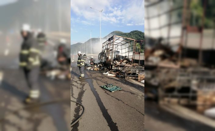 Ev eşyası taşıyan nakliye kamyonu küle döndü