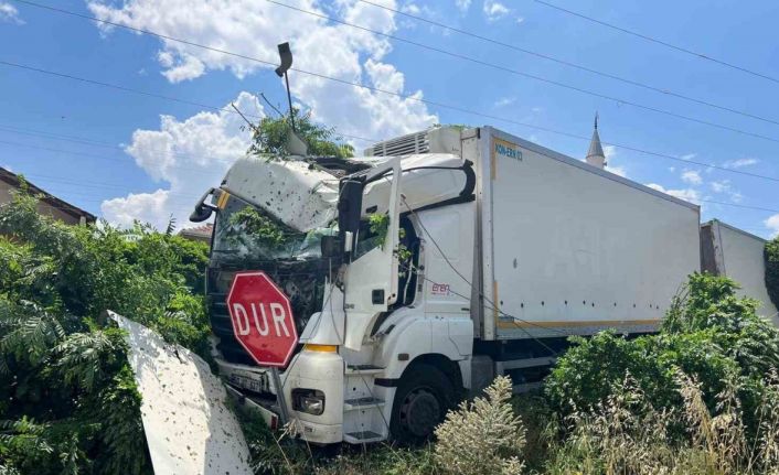 Freni boşalan römorklu kamyon önce ağaca, sonra elektrik diğerine çarptı