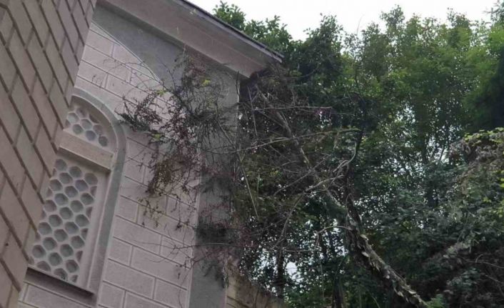 Giresun’da heyelan riski altındaki binalar boşaltılıyor