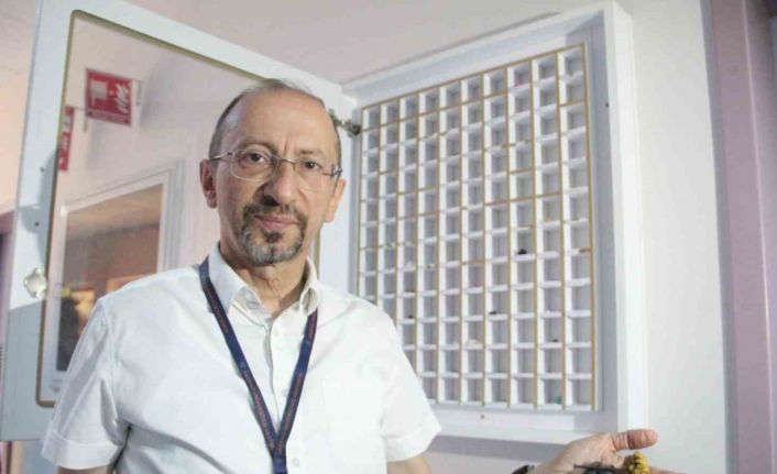 Hastane koridorunda çocukları ölümle burun buruna getiren sıra dışı koleksiyon