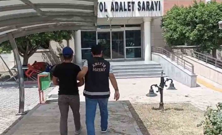Hatay’da hırsızlık ve uyuşturucu ticareti yapan şahıs tutuklandı