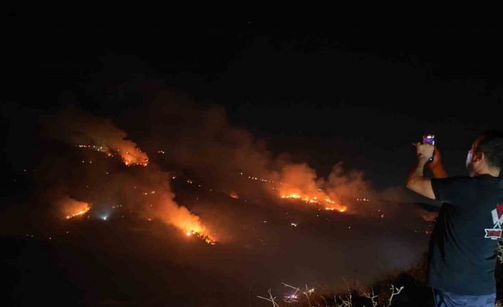 Hatay’da orman yangını büyüyor, 250 hektar zarar gördü