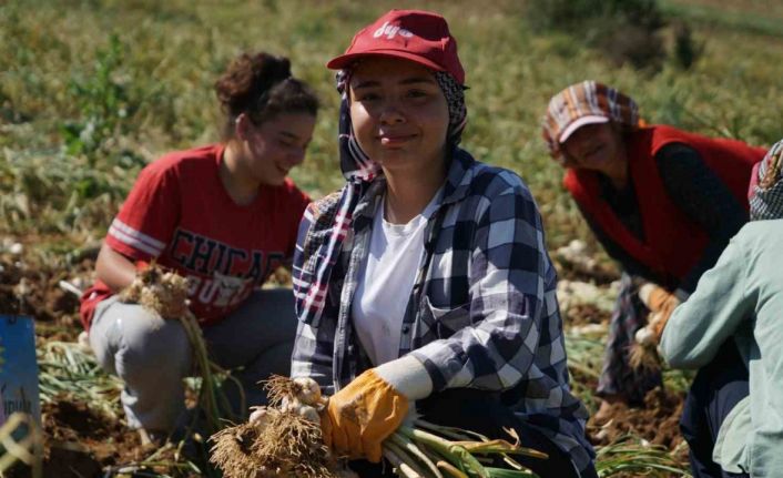 Her gün 200 kilometre yol kat edip sarımsak tarlasında çalışıyorlar