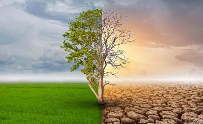 İklim krizi gıdaların sofradan eksilmesine neden olabilir