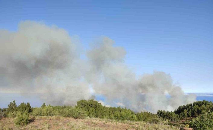 İspanya’da orman yangını: 11 ev yandı, 140 hektar alan kül oldu, 500 kişi tahliye edildi
