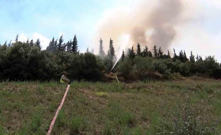 İstanbul’da ağaçlık alanda yangın paniği: Alevlere yangın söndürme helikopteri de müdahale etti
