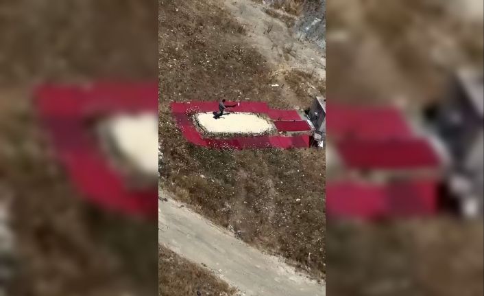 İstanbul’da hayvana şiddet kameraya yansıdı: Güvercini fırlatıp tekmeledi