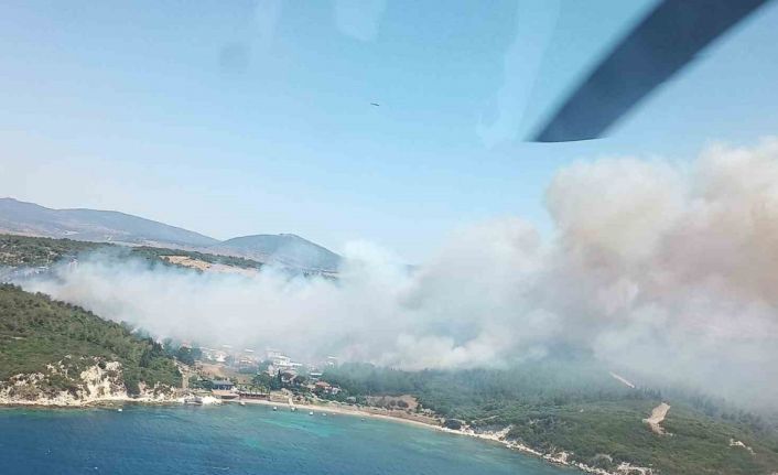 İzmir’deki orman yangınıyla ilgili gözaltına alınan 2 kişi serbest