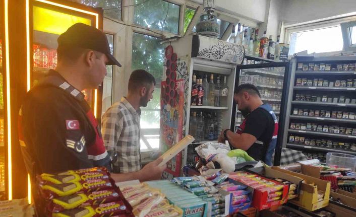 Jandarma ekiplerince 97 iş yeri kontrol edilirken 255 şahıs sorgulandı