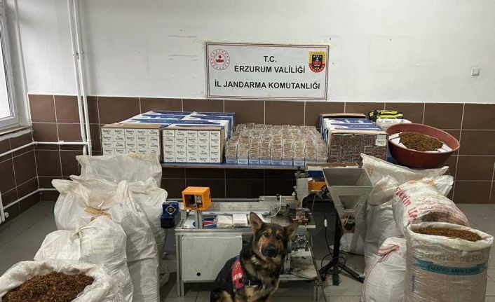 Jandarmadan kaçak sigara operasyonu