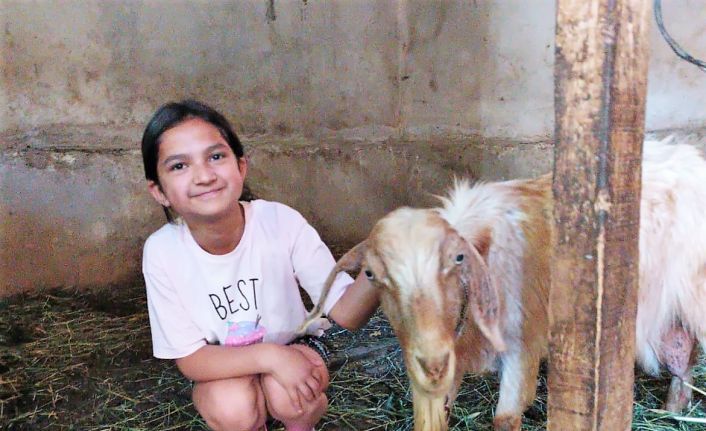 Kaçan kurbanlık keçi, 5 gün sonra boş bir evde bulundu