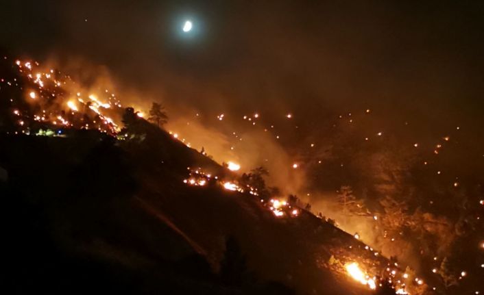 Kahramanmaraş’ta orman yangınına müdahale sürüyor