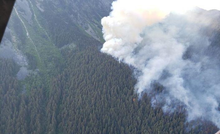 Kanada’da orman yangınları kontrol altına alınamıyor
