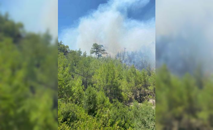 Kaş’taki orman yangını havadan ve karadan müdahaleyle kontrol altına alındı