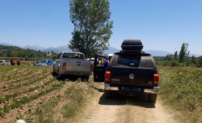 Kayıp yaşlı kadın mısır tarlasında ölü olarak bulundu