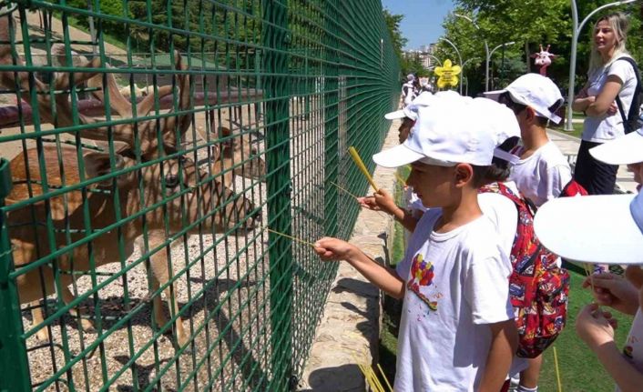 Keçiören Belediyesi, Çocuk Eğitim Merkezi’ndeki öğrencileri Keçiören turuna çıkardı