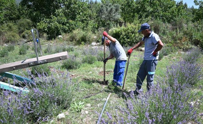 Kemer’de “Mor turizm” başlıyor