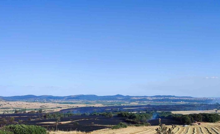 Keşan’daki arazi yangınında bin 226 dönüm buğday kül oldu