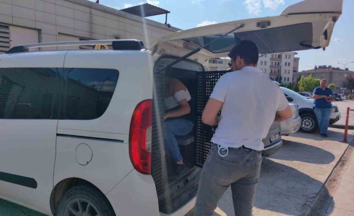 Kiracı ve işyeri sahibi kavgasında 2 kişi tutuklandı, 1 kişi sınır dışı edildi