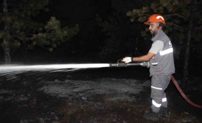 Kırıkkale’de orman yangını