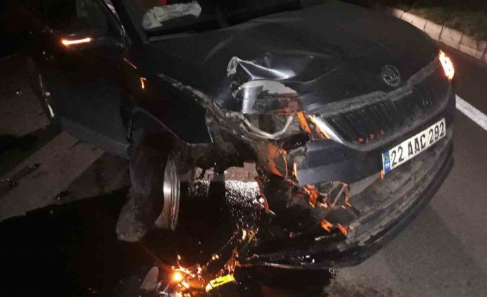 Köpeğe çarpmamak için manevra yapınca bariyerlere çarptı