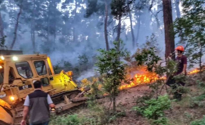 Kütahya’daki orman yangını 9 saat sonra kontrol altına alındı