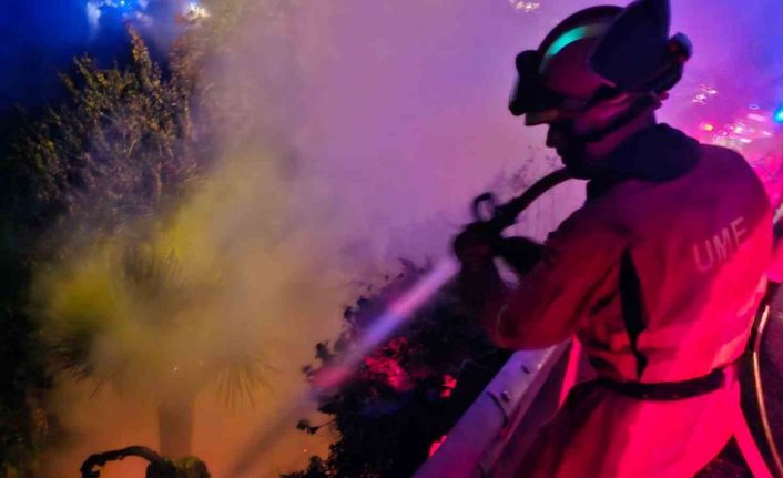 La Palma Adası’nda 4 bin 500 hektar alan küle döndü, 4 bin 255 kişi tahliye edildi