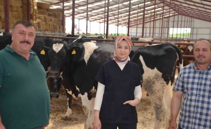 Macar düveler Beylikova’ya geldi