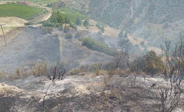 Manisa’da anız yangını makilik alana sıçradı