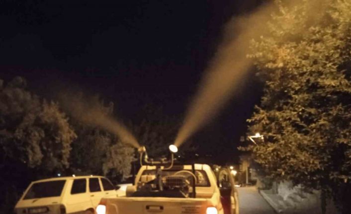 Manisa’da haşerelere karşı ilaçlama devam ediyor