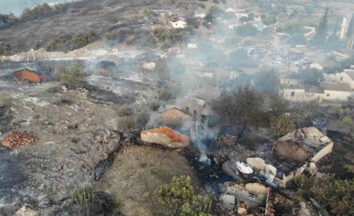 Manisa’daki orman yangınında 14 ev ve 3 ahır kül oldu