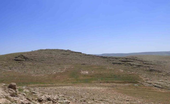 Mardin’de pleistosen ve erken holosen döneme ilişkin arkeolojik yüzey araştırması yapılıyor