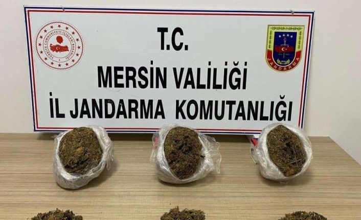 Mersin’de 5 kilo 200 gram skunk esrar ele geçirildi: 3 gözaltı