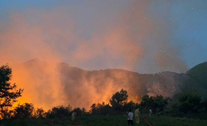 Mersin’de orman yangını havadan ve karadan müdahale ile kontrol altına alındı