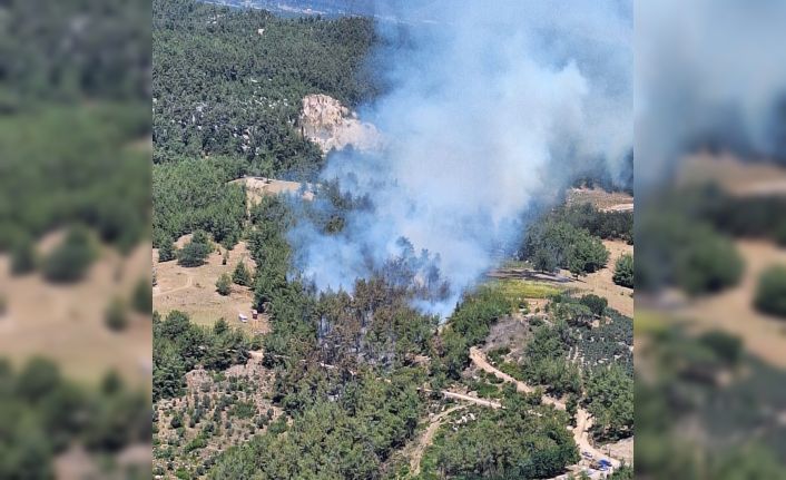 Mersin’deki ikinci orman yangını da kontrol altına alındı