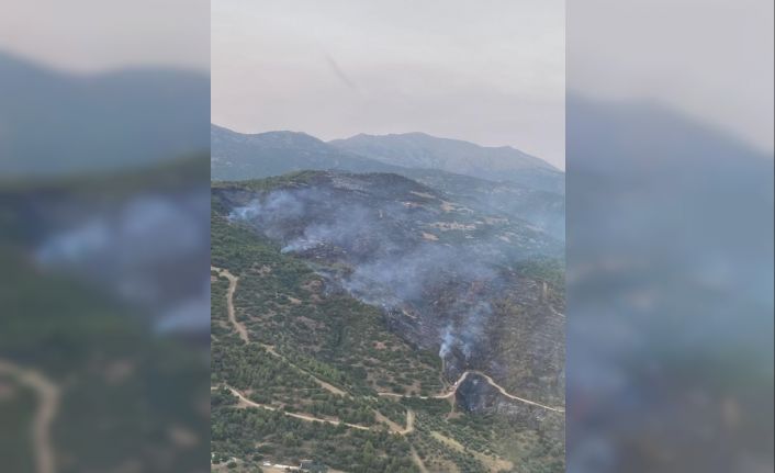 Ödemiş’teki yangın kontrol altına alındı