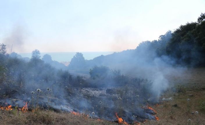 Orman yangınlarına anında müdahale