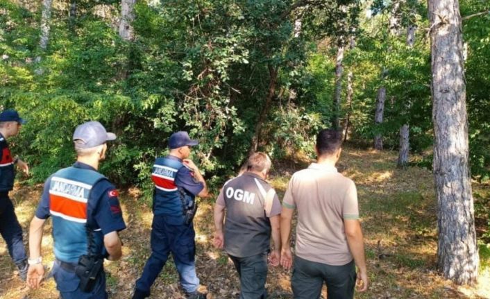 Ormanlar 7/24 gözetim altında