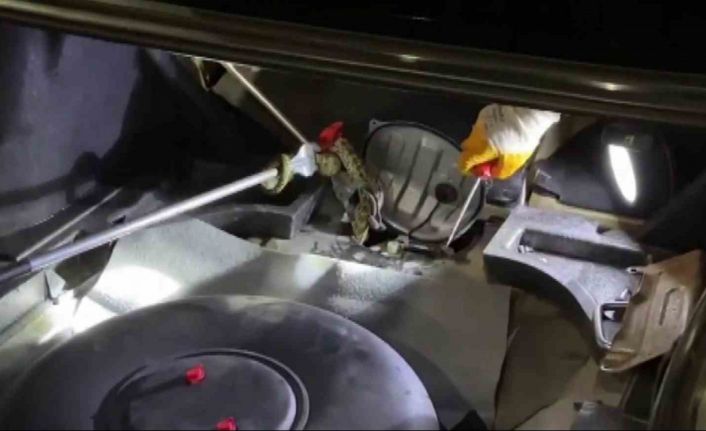 Öyle bir yere girdi ki, ekipleri dakikalarca uğraştırdı